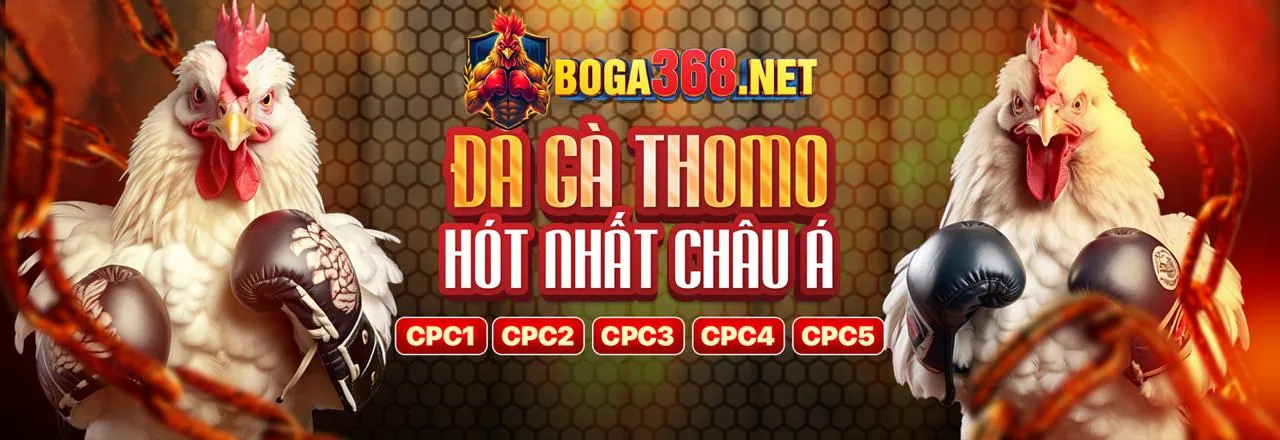 Đá gà trực tuyến kịch tính tại thbbet Trang Chủ